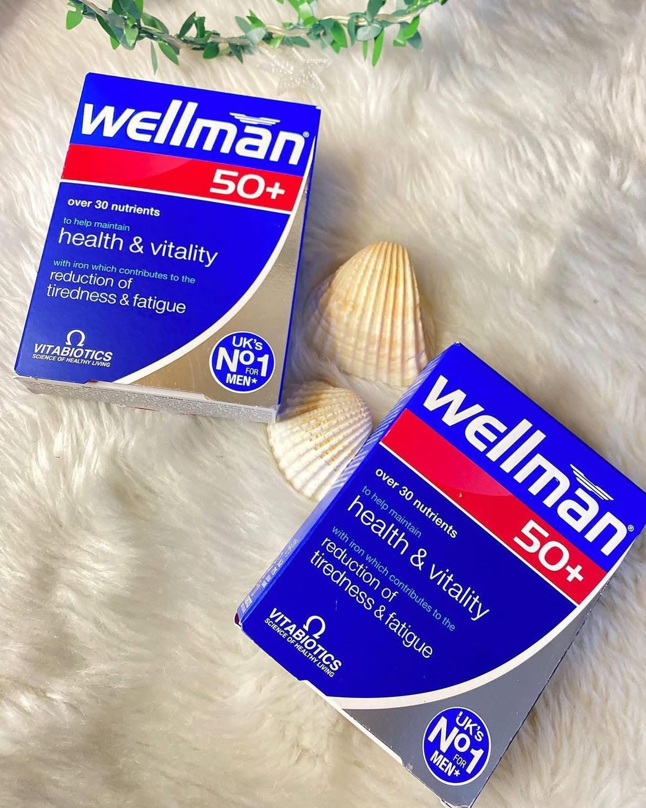 The Vitabiotics Wellman 50+ 30